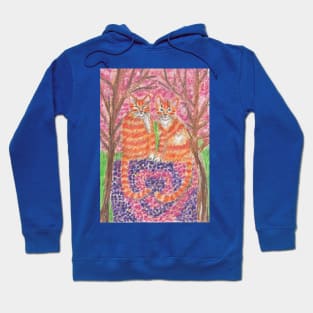 Orange ginger cats Hoodie